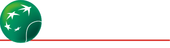 logo light